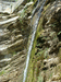водопад 12 м